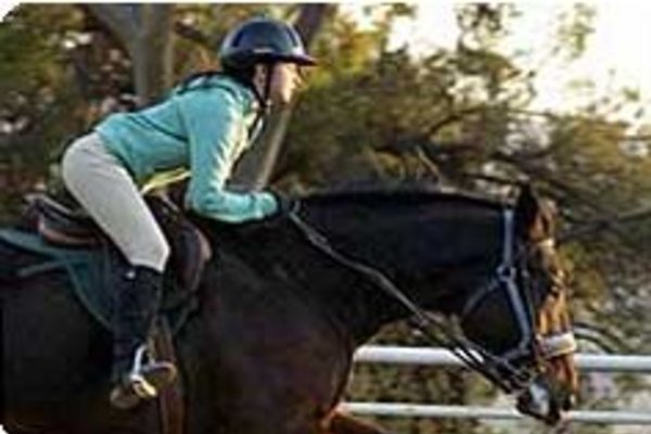 English Riding Lessons | Chaparral Ranch | InPlay.org