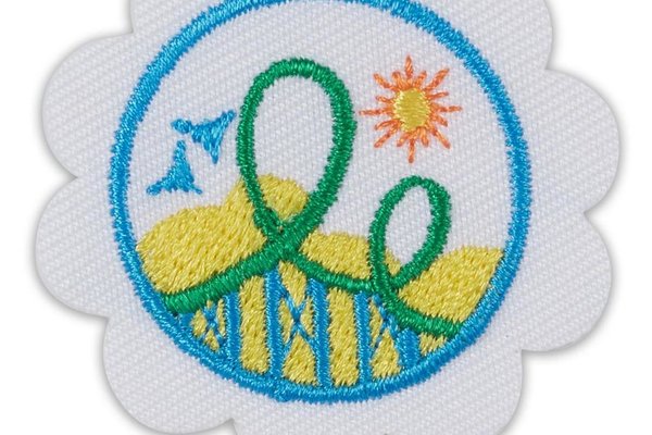 Daisy Roller Coaster Design Challenge Badge Online Girl Scouts